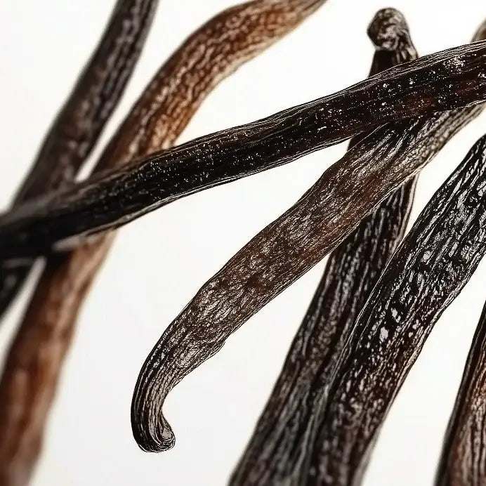 Close-up of aromatic vanilla pods, showcasing their rich texture and dark color, perfect for enhancing gourmet dishes.