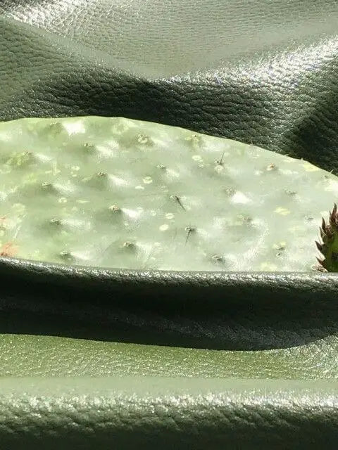 Cuir vegan: cactus ananas… Les matières innovantes qui redéfinissent la maroquinerie de luxe