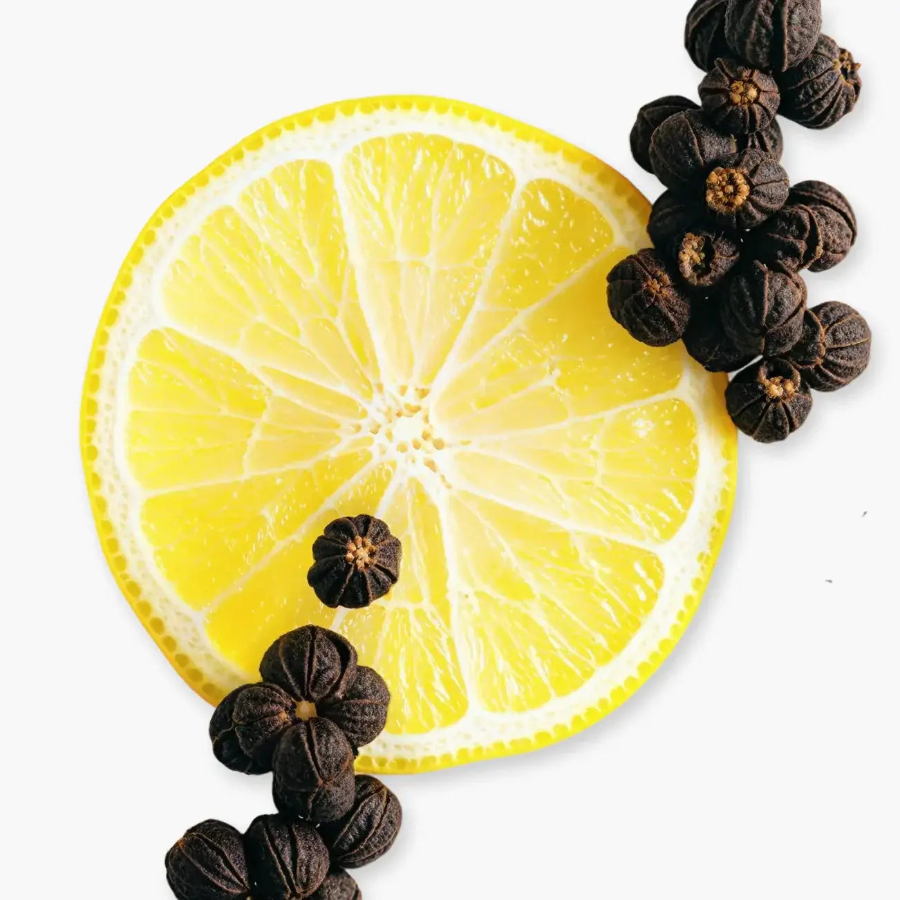 Galloway fragrance notes featuring a slice of lemon and black pepper, highlighting the fresh and spicy aroma profile.