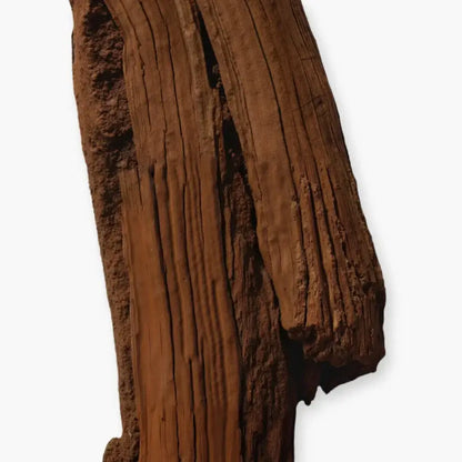 Un morceau de bois précieux représentant l'essence du parfum boisé aromatique Haltane.