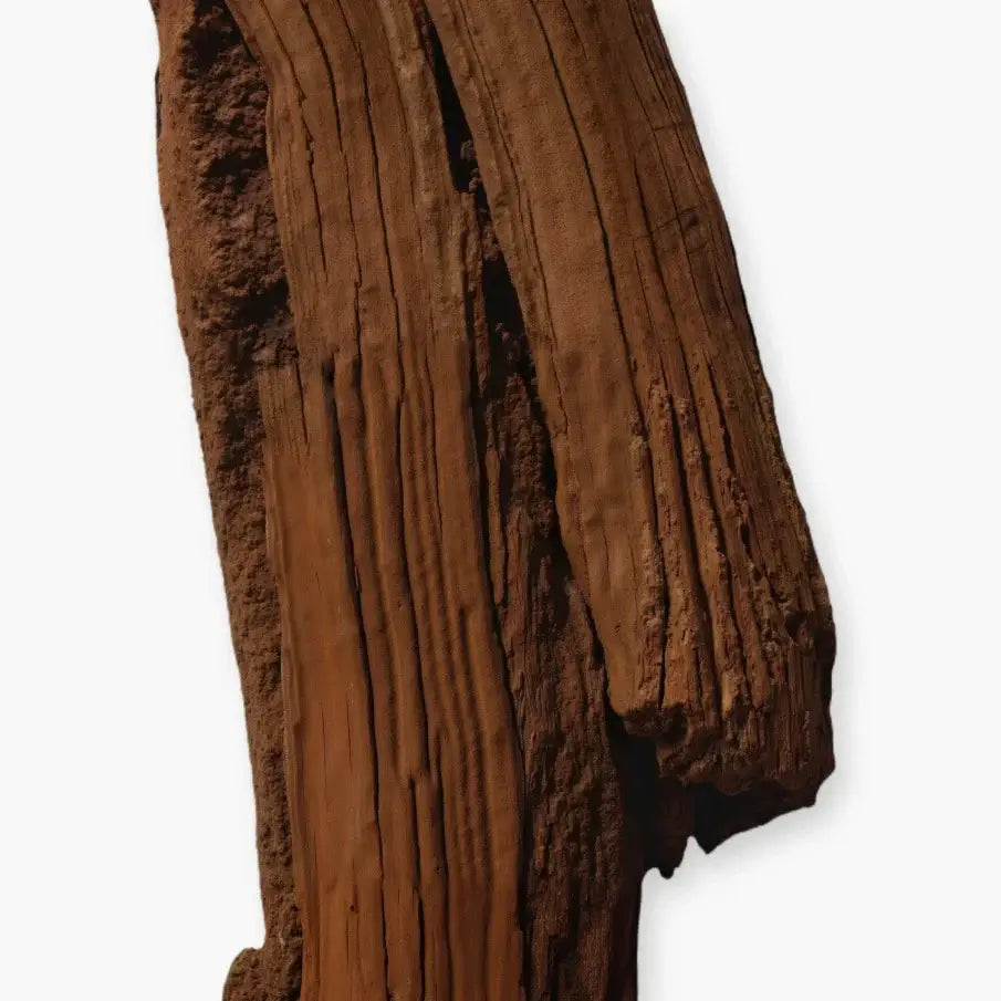 Un morceau de bois précieux représentant l'essence du parfum boisé aromatique Haltane.