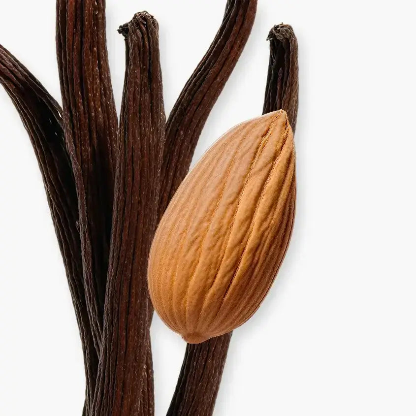 PEGASUS fragrance ingredients featuring vanilla pods and an almond, embodying elegance and sophistication.